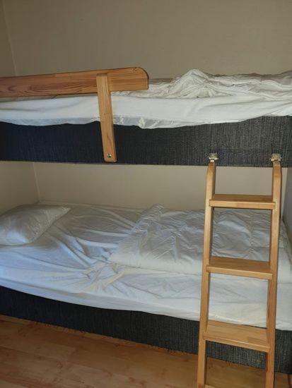 Apartmán Bjoernbyn Sälen Exteriér fotografie